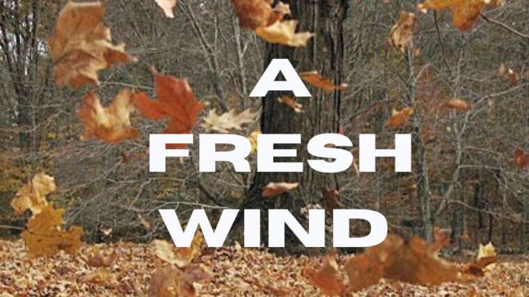 A FRESH WIND