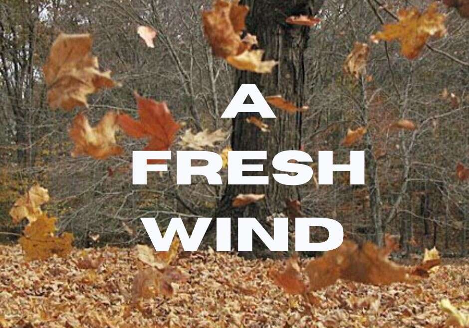 A FRESH WIND