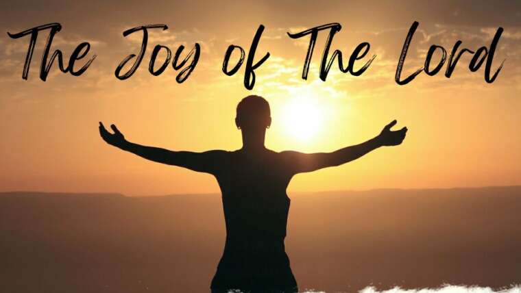 THE JOY OF THE LORD