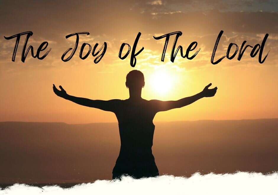 THE JOY OF THE LORD