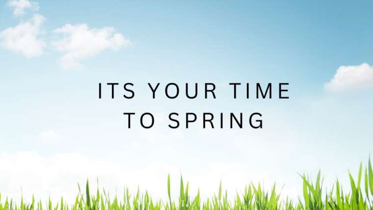 IT’S YOUR TIME TO SPRING