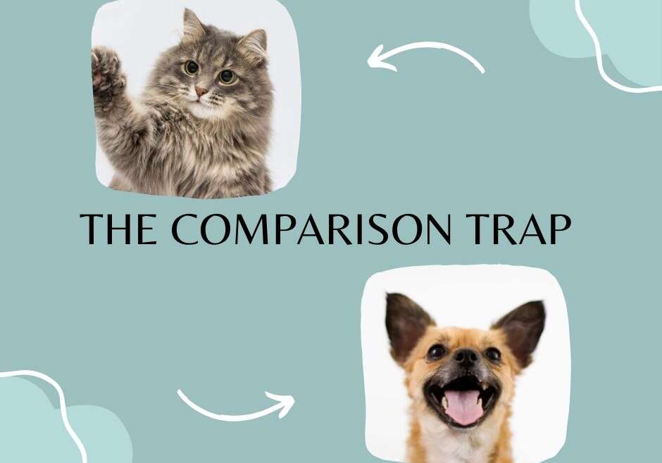 THE COMPARISON TRAP